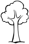 tree tree